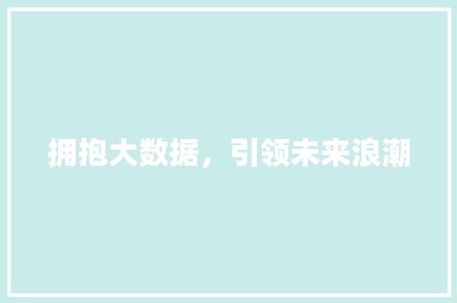 拥抱大数据，引领未来浪潮