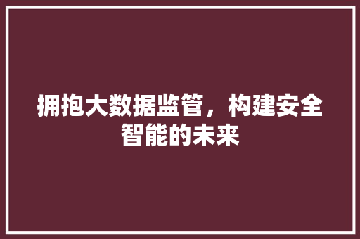 拥抱大数据监管，构建安全智能的未来