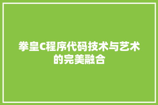 拳皇C程序代码技术与艺术的完美融合