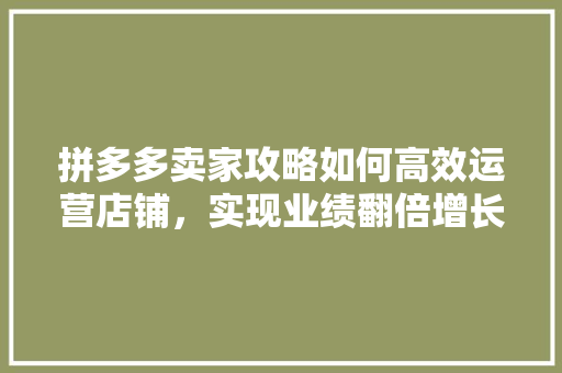 拼多多卖家攻略如何高效运营店铺，实现业绩翻倍增长