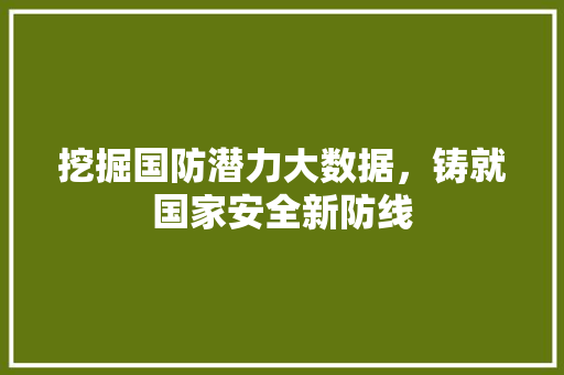 挖掘国防潜力大数据，铸就国家安全新防线
