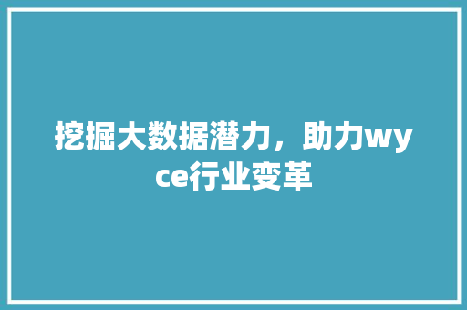 挖掘大数据潜力，助力wyce行业变革