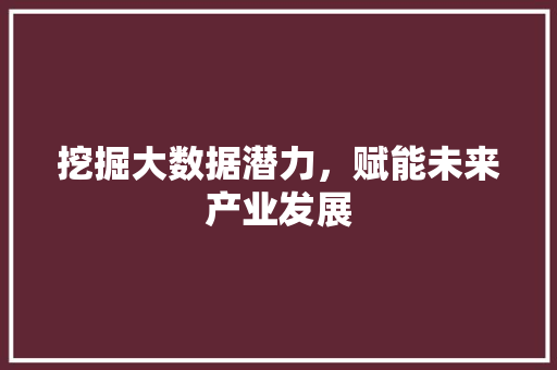 挖掘大数据潜力，赋能未来产业发展