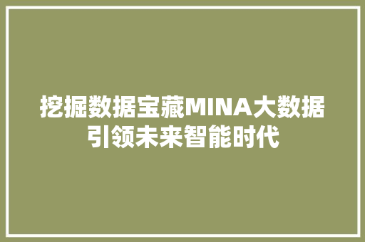 挖掘数据宝藏MINA大数据引领未来智能时代
