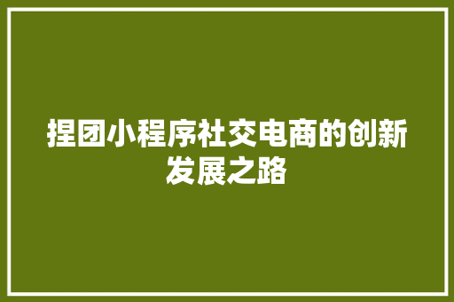 捏团小程序社交电商的创新发展之路