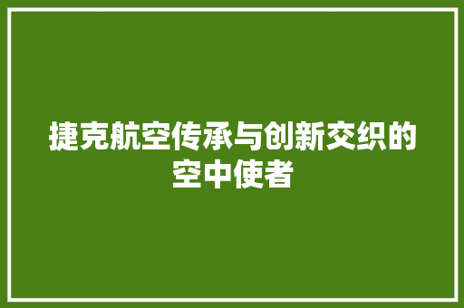 捷克航空传承与创新交织的空中使者