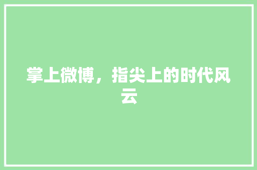 掌上微博，指尖上的时代风云