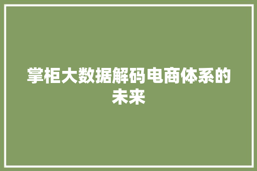 掌柜大数据解码电商体系的未来