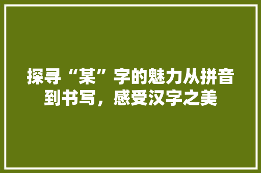 探寻“某”字的魅力从拼音到书写，感受汉字之美