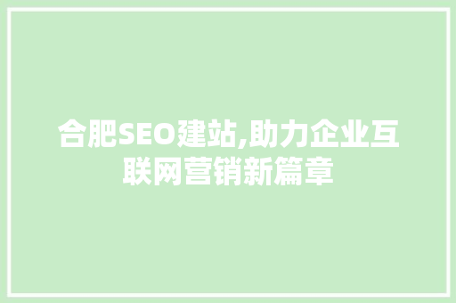 合肥SEO建站,助力企业互联网营销新篇章 项目报告
