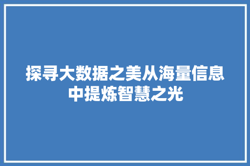 探寻大数据之美从海量信息中提炼智慧之光