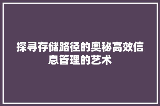探寻存储路径的奥秘高效信息管理的艺术
