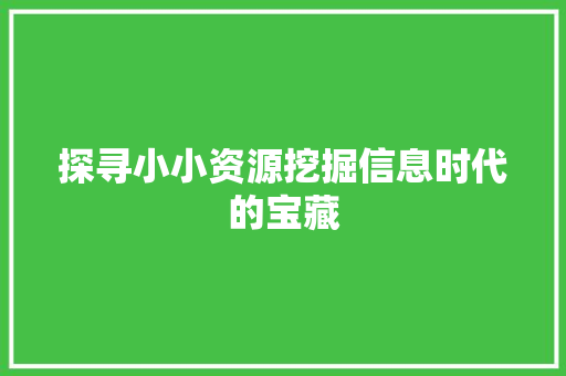 探寻小小资源挖掘信息时代的宝藏
