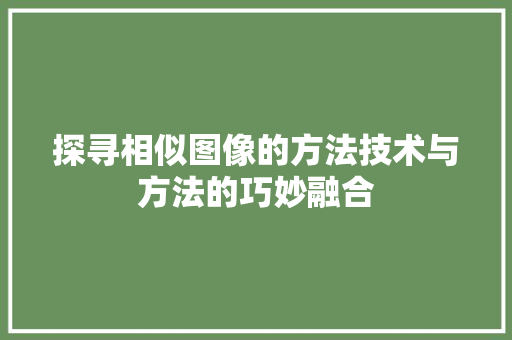 探寻相似图像的方法技术与方法的巧妙融合