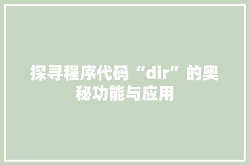 探寻程序代码“dir”的奥秘功能与应用