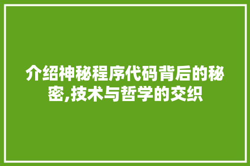 介绍神秘程序代码背后的秘密,技术与哲学的交织 市场营销范文