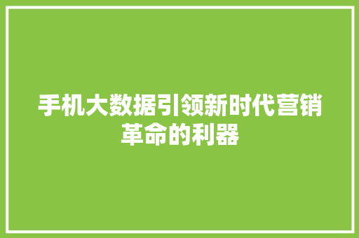 手机大数据引领新时代营销革命的利器