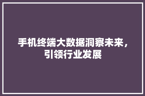 手机终端大数据洞察未来，引领行业发展