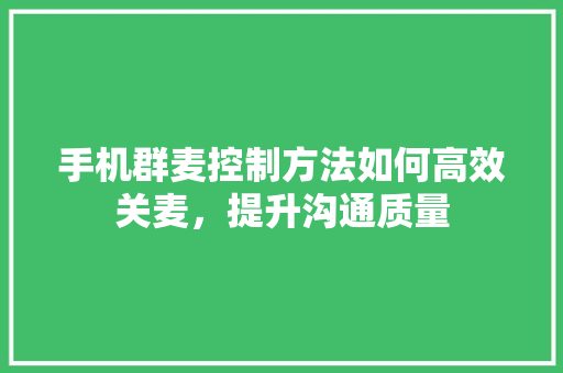 手机群麦控制方法如何高效关麦，提升沟通质量