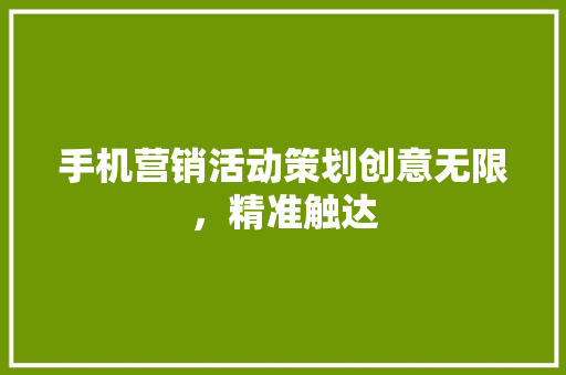 手机营销活动策划创意无限，精准触达