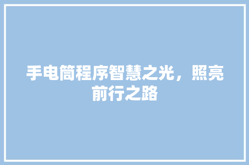 手电筒程序智慧之光，照亮前行之路