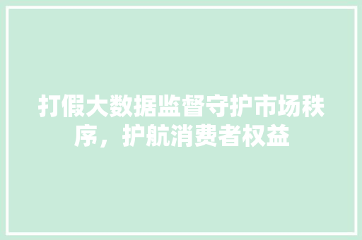 打假大数据监督守护市场秩序，护航消费者权益