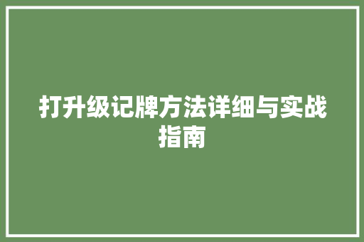 打升级记牌方法详细与实战指南