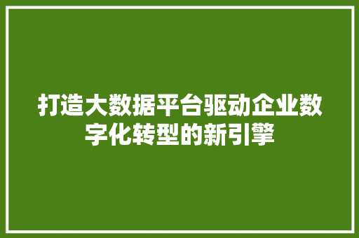 打造大数据平台驱动企业数字化转型的新引擎