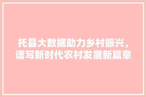 托县大数据助力乡村振兴，谱写新时代农村发展新篇章