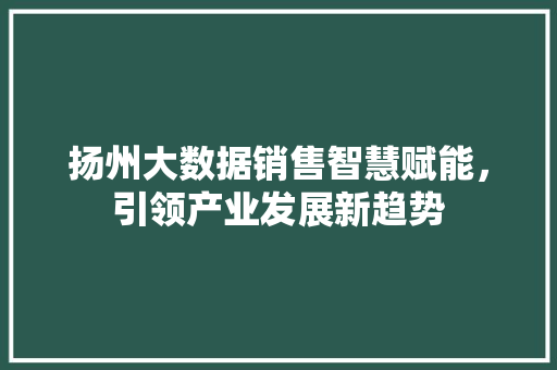 扬州大数据销售智慧赋能，引领产业发展新趋势