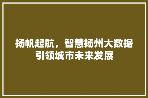 扬帆起航，智慧扬州大数据引领城市未来发展