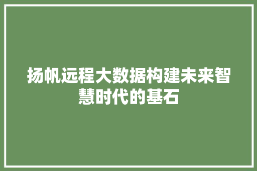 扬帆远程大数据构建未来智慧时代的基石