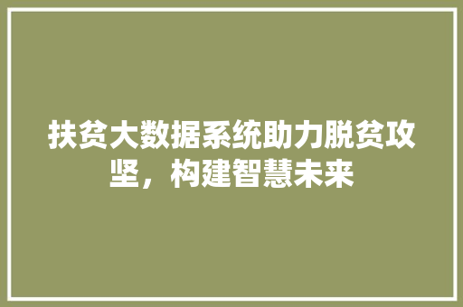 扶贫大数据系统助力脱贫攻坚，构建智慧未来