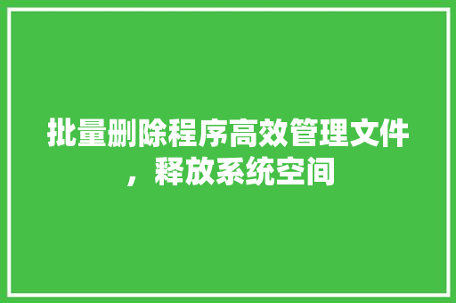 批量删除程序高效管理文件，释放系统空间