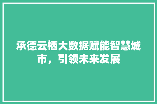 承德云栖大数据赋能智慧城市，引领未来发展