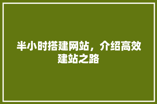 半小时搭建网站，介绍高效建站之路 项目报告