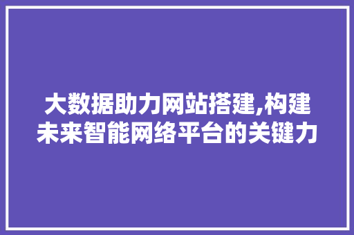 大数据助力网站搭建,构建未来智能网络平台的关键力量 市场营销范文