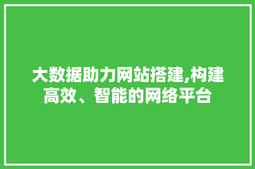 大数据助力网站搭建,构建高效、智能的网络平台 市场营销范文