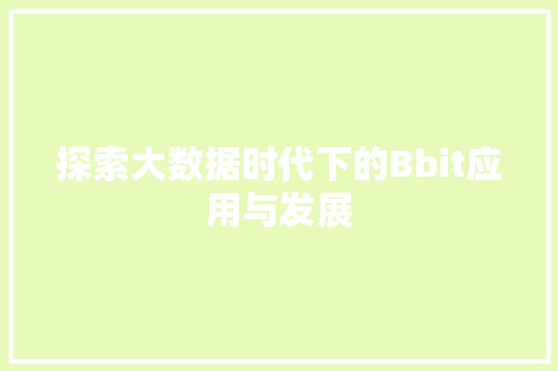 探索大数据时代下的Bbit应用与发展