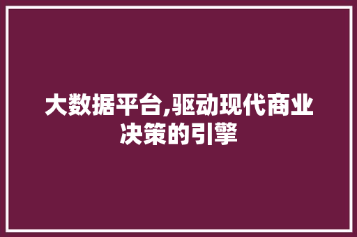 大数据平台,驱动现代商业决策的引擎