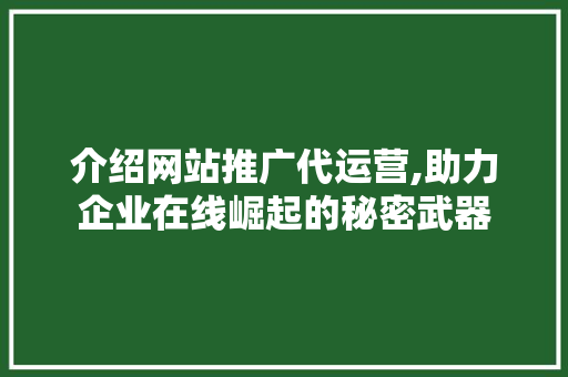 介绍网站推广代运营,助力企业在线崛起的秘密武器