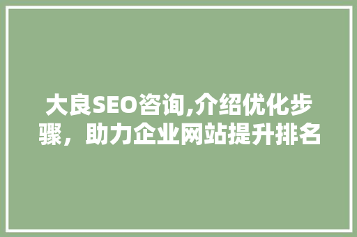 大良SEO咨询,介绍优化步骤，助力企业网站提升排名