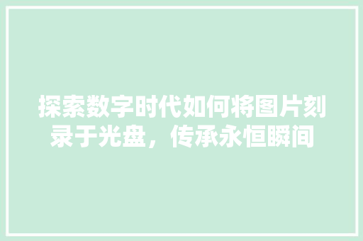 探索数字时代如何将图片刻录于光盘，传承永恒瞬间