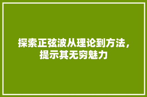 探索正弦波从理论到方法，提示其无穷魅力