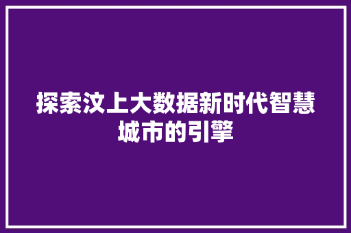 探索汶上大数据新时代智慧城市的引擎