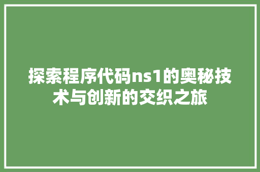 探索程序代码ns1的奥秘技术与创新的交织之旅