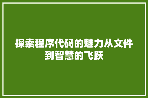 探索程序代码的魅力从文件到智慧的飞跃