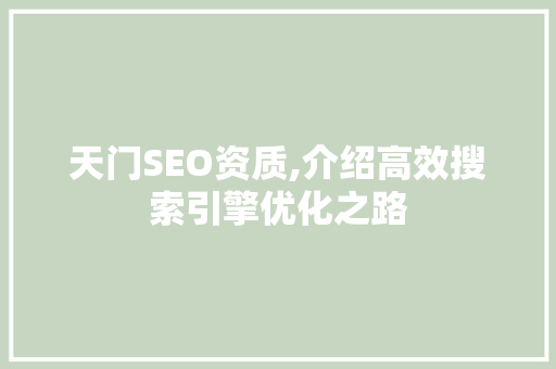 天门SEO资质,介绍高效搜索引擎优化之路 网站建设