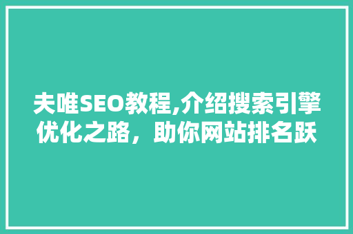 夫唯SEO教程,介绍搜索引擎优化之路，助你网站排名跃升 前端技术