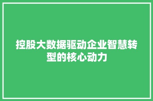 控股大数据驱动企业智慧转型的核心动力